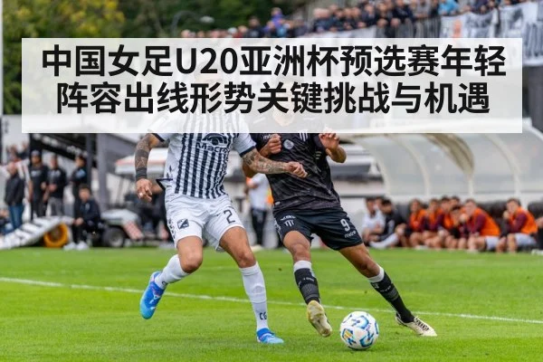 soccer stadium match action